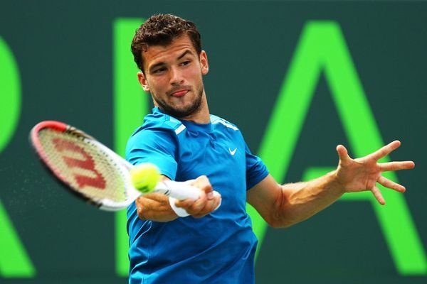 球迷很可能 球迷很可能