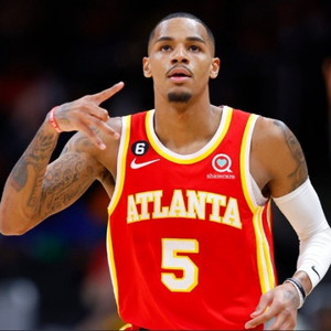 的出色组织 的出色组织