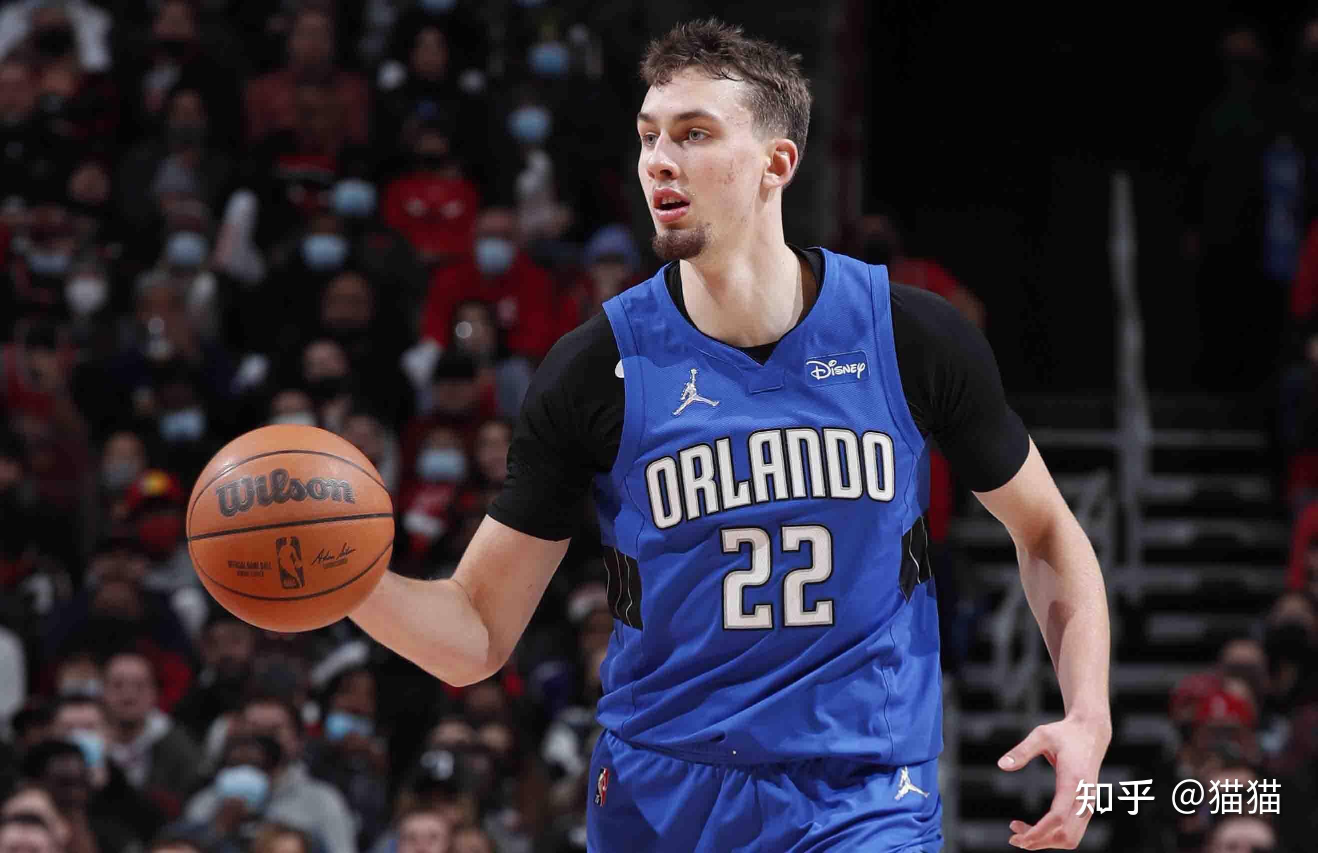 成鲜明对比 成鲜明对比